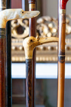 Colección de bastones de mando y paseo – S.XIX / S.XX